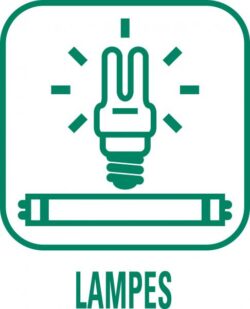 ademe-pictogramme-lampes Ampoules et néons