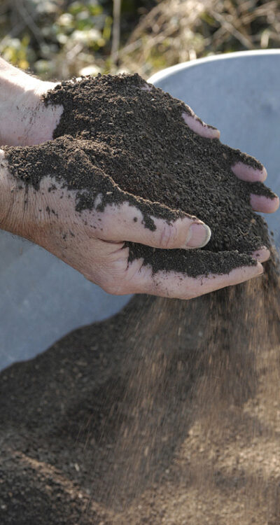 Main présentant du compost