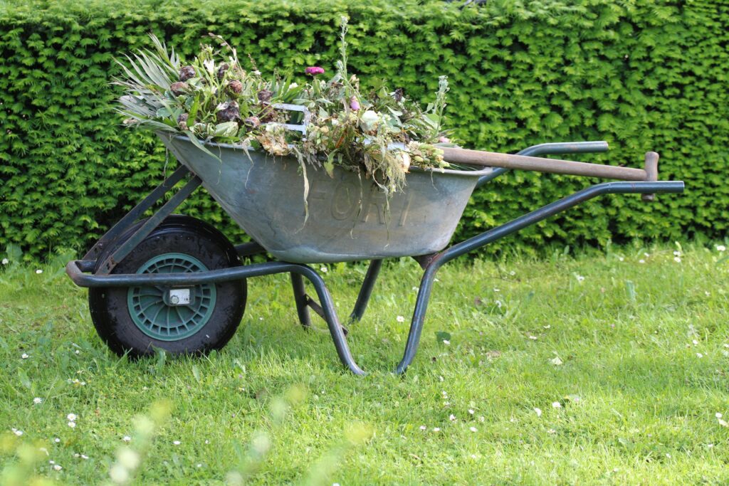 Brouette dans un jardin